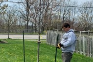 commercial-annual-tree-planting