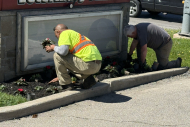 commercial-lawn-landscaping-00