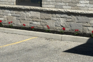 commercial-lawn-landscaping-01