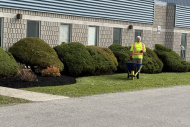 corporate-lawn-landscaping-IMG_5122