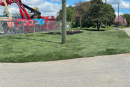 dc-lawn-landscape-03