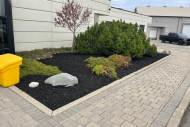 dc-lawn-landscape-08