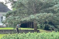 front-yard-landscaping-02