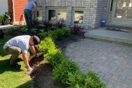 grass-landscaping-property-maintenance