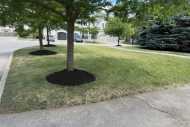 lawn-landscaping-01