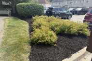 lawn-landscaping-03