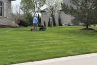 lawn-landscaping-IMG_5120