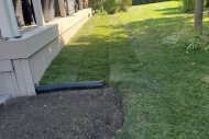 new-sod-backyard