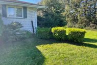 trimmed-bushes-trees
