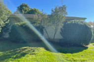 trimmed-bushes