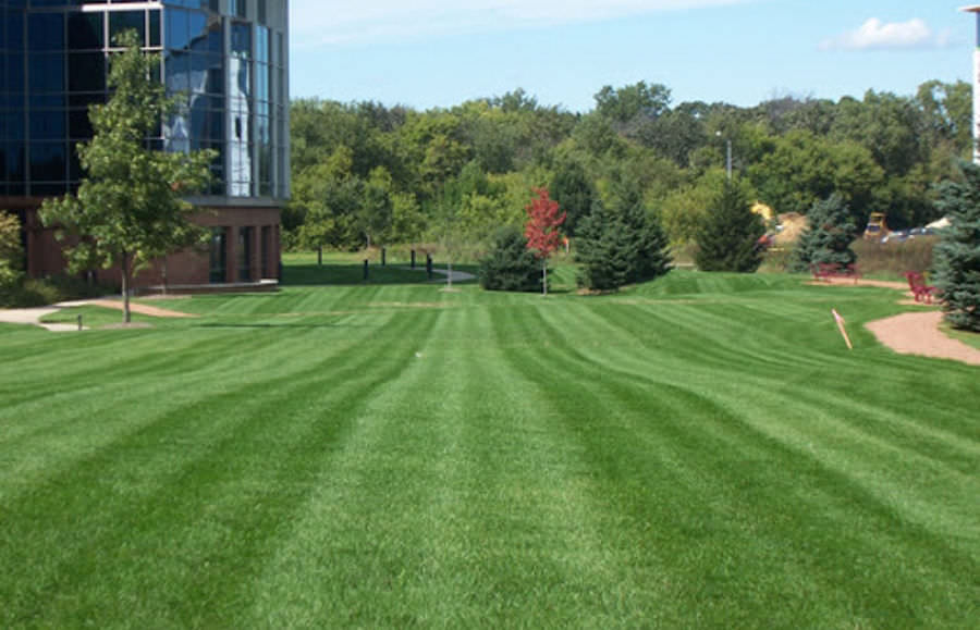 Commercial Lawn Cutting 900x579