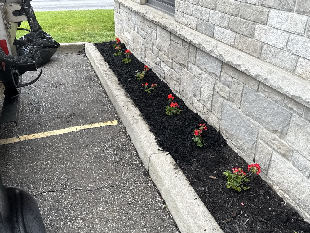 Commercial Property Landscaping