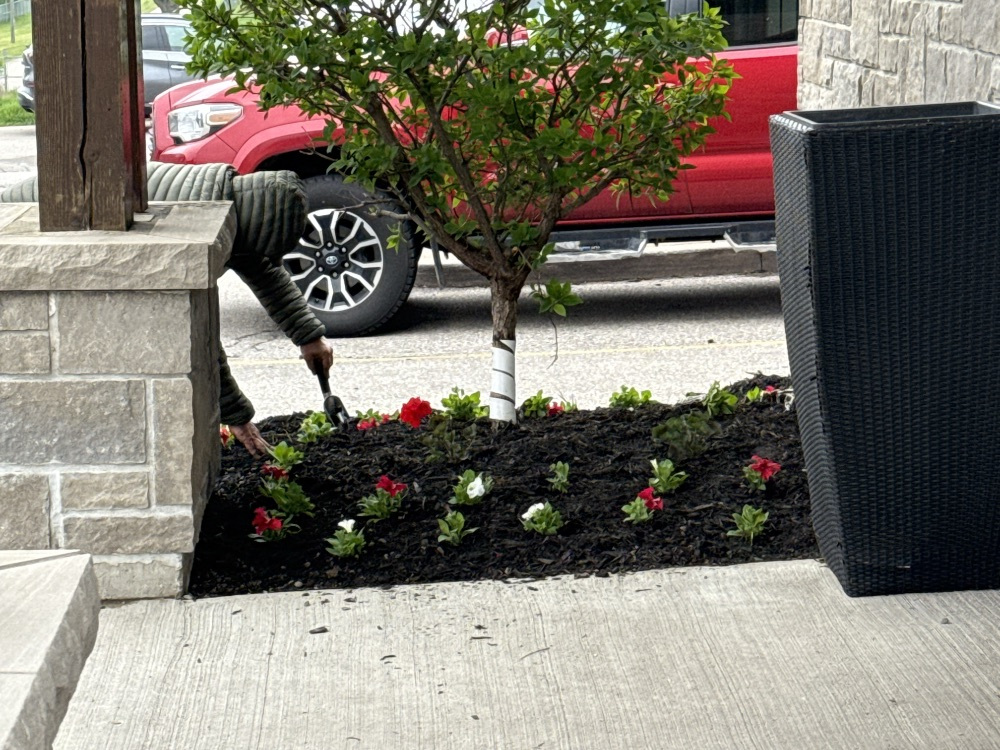 Commercial Property Maintenance