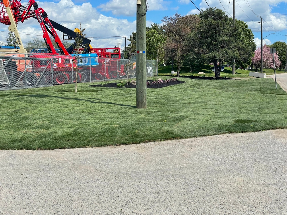 Dc Lawn Landscape 03