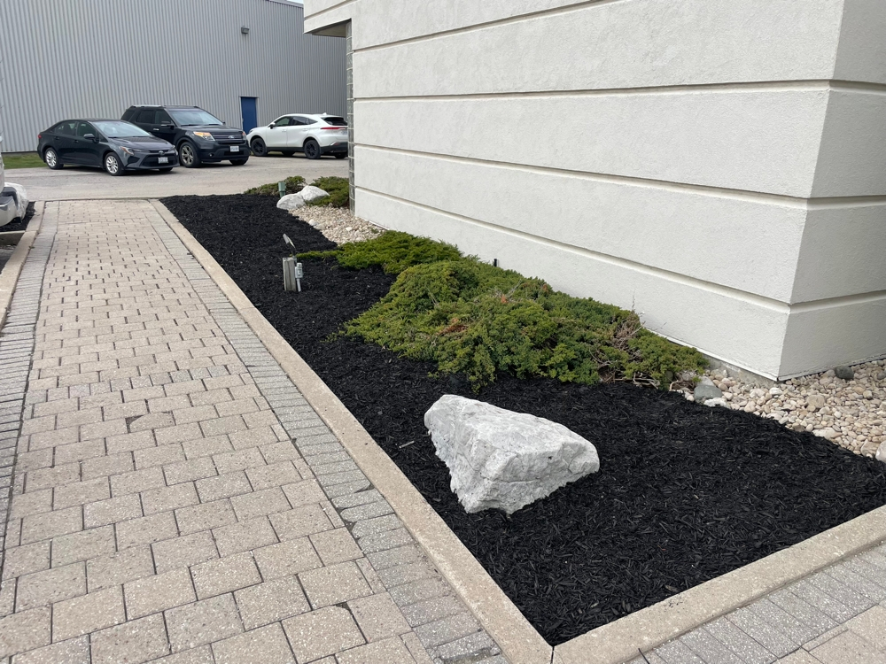 Dc Lawn Landscape 04