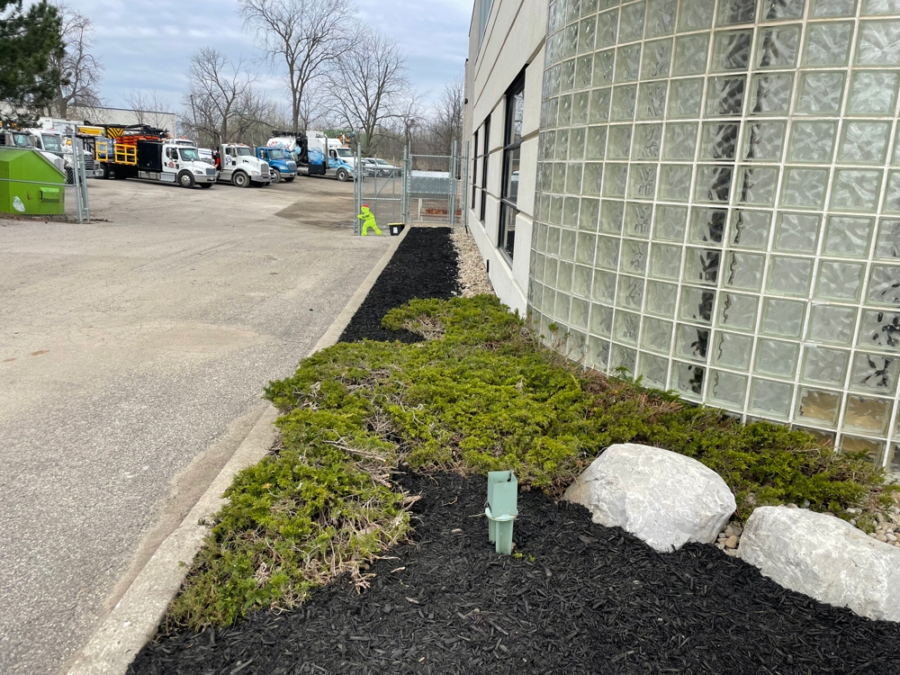 Dc Lawn Landscape 05