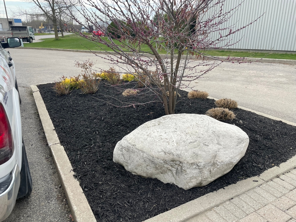 Dc Lawn Landscape 07