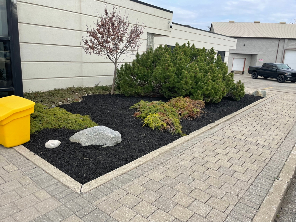 Dc Lawn Landscape 08