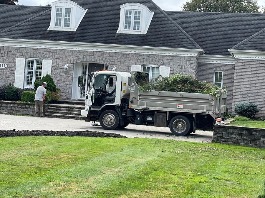 Front Yard Landscaping