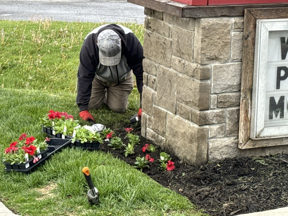 Property Landscaping