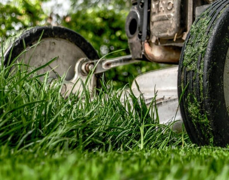 Mowing grass