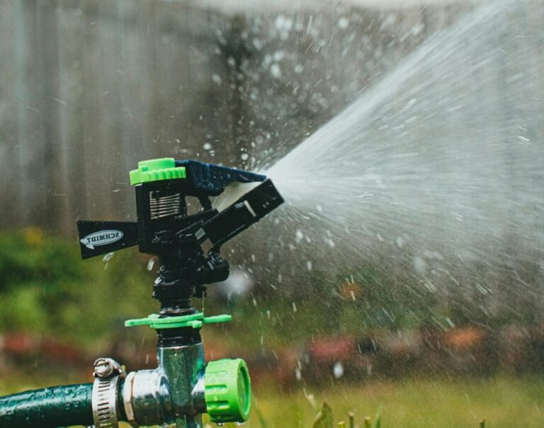 Preparing Your Lawn Before Summer Growth