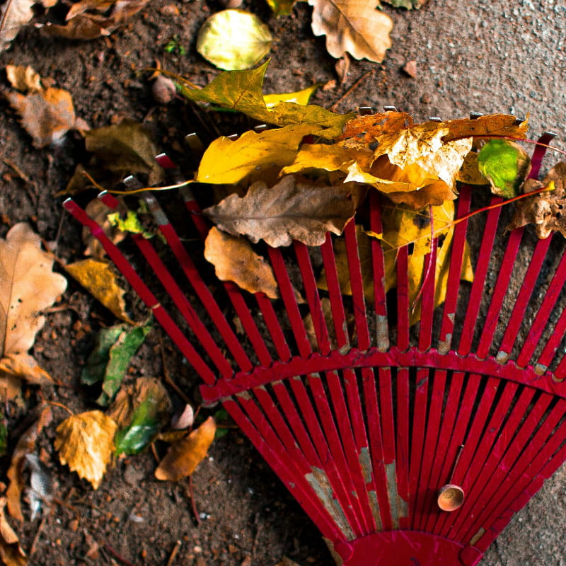 The First Thing To Do To Your Lawn After Winter